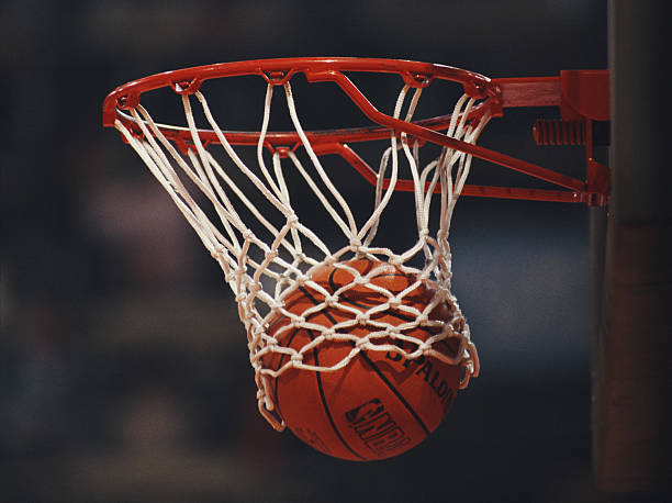 NBA最新排名：掘金登顶西部，凯尔特人领跑东部