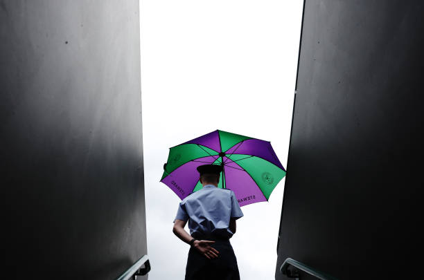 新生代崛起：沙波瓦洛夫与贝雷蒂尼的温网突破之旅